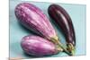 Eggplants-nancykennedy-Mounted Photographic Print