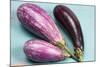 Eggplants-nancykennedy-Mounted Photographic Print