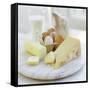 Eggs And Cheese-David Munns-Framed Stretched Canvas