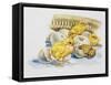 Eggs and Newly Hatched Chicks-null-Framed Stretched Canvas