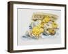 Eggs and Newly Hatched Chicks-null-Framed Giclee Print