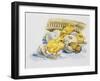 Eggs and Newly Hatched Chicks-null-Framed Giclee Print