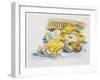 Eggs and Newly Hatched Chicks-null-Framed Giclee Print