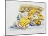 Eggs and Newly Hatched Chicks-null-Mounted Giclee Print