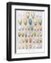 Eggs:Greenfinch:Goldfinch Etc, Illustration from 'British Birds' by Kirkman and Jourdain, 1966-Hendrik Gronvold-Framed Giclee Print