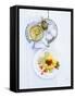 Eggs in Mustard Sauce with Potato Snow-Jan-peter Westermann-Framed Stretched Canvas