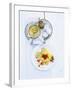 Eggs in Mustard Sauce with Potato Snow-Jan-peter Westermann-Framed Photographic Print