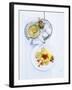 Eggs in Mustard Sauce with Potato Snow-Jan-peter Westermann-Framed Photographic Print