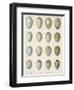 Eggs of Raven Crows Rooks and Jackdaws-null-Framed Photographic Print