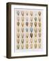 Eggs:Willow Warbler:Wood Warbler:Etc, Illustration from 'British Birds' by Kirkman and Jourdain,…-Hendrik Gronvold-Framed Giclee Print