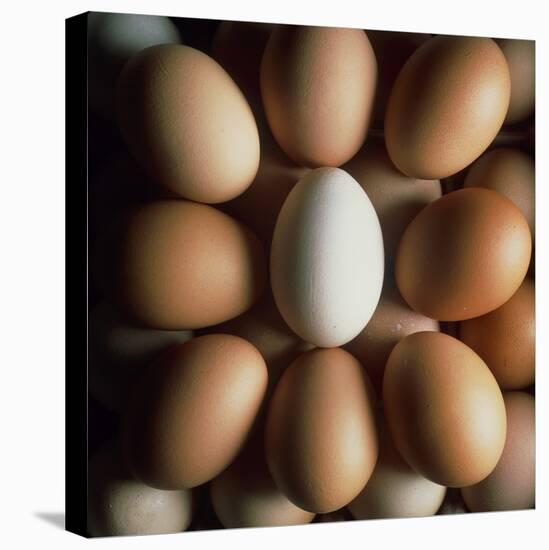 Eggs-Tek Image-Stretched Canvas