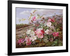 Eglantine, 1883-William Jabez Muckley-Framed Giclee Print