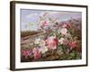 Eglantine, 1883-William Jabez Muckley-Framed Giclee Print