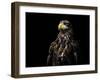 Ego-Christian Lechtenfeld-Framed Giclee Print