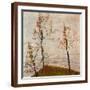Brown Frame
