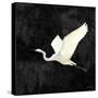 Egret Alighting II Flipped Black-Kathrine Lovell-Stretched Canvas