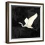 Egret Alighting II Flipped Black-Kathrine Lovell-Framed Art Print