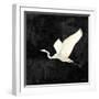 Egret Alighting II Flipped Black-Kathrine Lovell-Framed Art Print