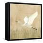 Egret Alighting II Flipped Neutral-Kathrine Lovell-Framed Stretched Canvas