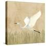 Egret Alighting II Flipped Neutral-Kathrine Lovell-Stretched Canvas