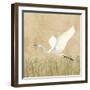 Egret Alighting II Flipped Neutral-Kathrine Lovell-Framed Art Print