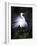 Egret Breeding Plumage, Venice, Florida, USA-Art Wolfe-Framed Photographic Print