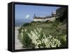 Egret Flies over the lawns of Alcatraz, San Francisco, California-Eric Risberg-Framed Stretched Canvas