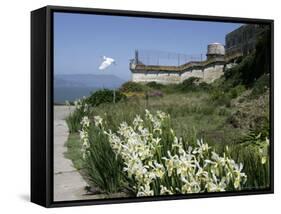 Egret Flies over the lawns of Alcatraz, San Francisco, California-Eric Risberg-Framed Stretched Canvas