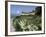 Egret Flies over the lawns of Alcatraz, San Francisco, California-Eric Risberg-Framed Photographic Print