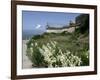 Egret Flies over the lawns of Alcatraz, San Francisco, California-Eric Risberg-Framed Photographic Print