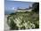 Egret Flies over the lawns of Alcatraz, San Francisco, California-Eric Risberg-Mounted Photographic Print