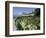 Egret Flies over the lawns of Alcatraz, San Francisco, California-Eric Risberg-Framed Photographic Print