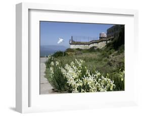 Egret Flies over the lawns of Alcatraz, San Francisco, California-Eric Risberg-Framed Photographic Print