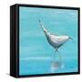 Egret I Bright-Phyllis Adams-Framed Stretched Canvas