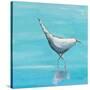 Egret I Bright-Phyllis Adams-Stretched Canvas