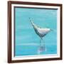 Egret I Bright-Phyllis Adams-Framed Art Print