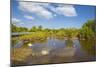 Egret in Mangroves, Playa Pesquero, Holguin Province, Cuba, West Indies, Caribbean, Central America-Jane Sweeney-Mounted Photographic Print