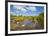 Egret in Mangroves, Playa Pesquero, Holguin Province, Cuba, West Indies, Caribbean, Central America-Jane Sweeney-Framed Photographic Print