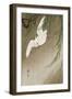 Egret in Storm-Koson Ohara-Framed Giclee Print