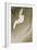 Egret in Storm-Koson Ohara-Framed Giclee Print