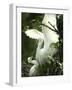 Egret Keeps Her Baby under Her Wing on a Tree, on the Banks of the River Brahmaputra in India-null-Framed Photographic Print