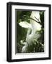 Egret Keeps Her Baby under Her Wing on a Tree, on the Banks of the River Brahmaputra in India-null-Framed Photographic Print