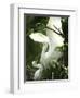 Egret Keeps Her Baby under Her Wing on a Tree, on the Banks of the River Brahmaputra in India-null-Framed Photographic Print