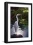 Egret Light-Steve Hunziker-Framed Art Print