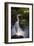 Egret Light-Steve Hunziker-Framed Art Print