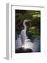 Egret Light-Steve Hunziker-Framed Art Print