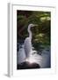 Egret Light-Steve Hunziker-Framed Art Print