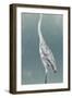 Egret on Azure I-Emma Caroline-Framed Art Print