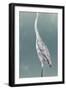 Egret on Azure I-Emma Caroline-Framed Art Print