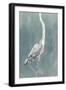 Egret on Azure II-Emma Caroline-Framed Art Print